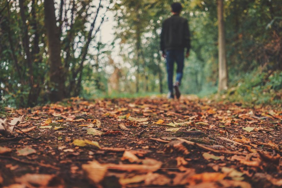 Person walking alone on a leaf-covered path in the woods reflecting on faith and waiting