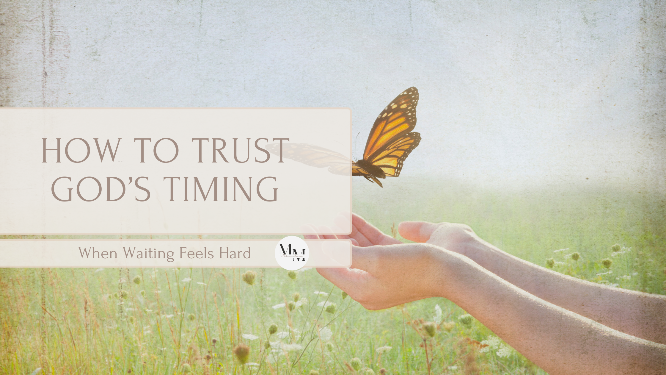 Open hands releasing a butterfly in a peaceful field — symbolic of trusting God’s timing when waiting feels hard.