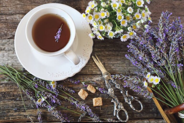 Cup of tea with lavender flowers and herbs