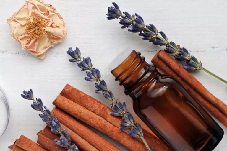Brown essential oil bottle with lavender sprigs, cinnamon sticks, and a dried rose on a white background—representing cozy fall diffuser blend ingredients.