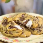 Close-up of gooey s’mores chocolate chip cookies with melted marshmallow and chocolate on a floral plate.