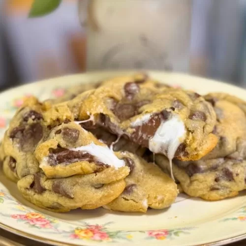 Close-up of gooey s’mores chocolate chip cookies with melted marshmallow and chocolate on a floral plate.