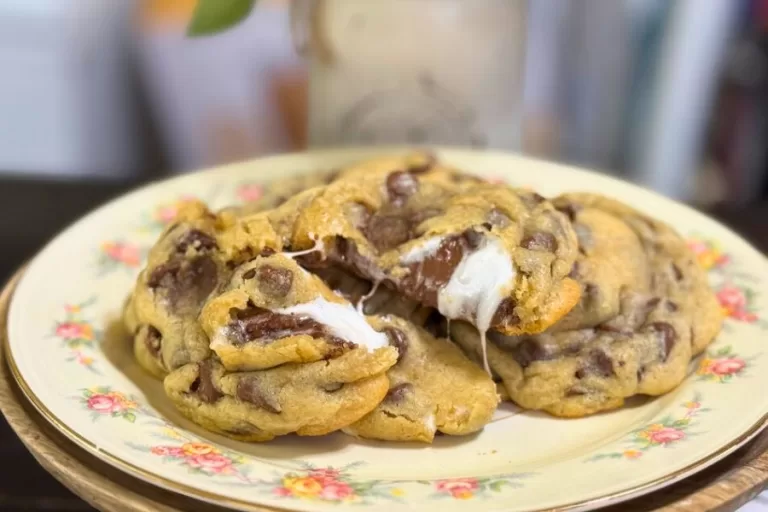 Close-up of gooey s’mores chocolate chip cookies with melted marshmallow and chocolate on a floral plate.