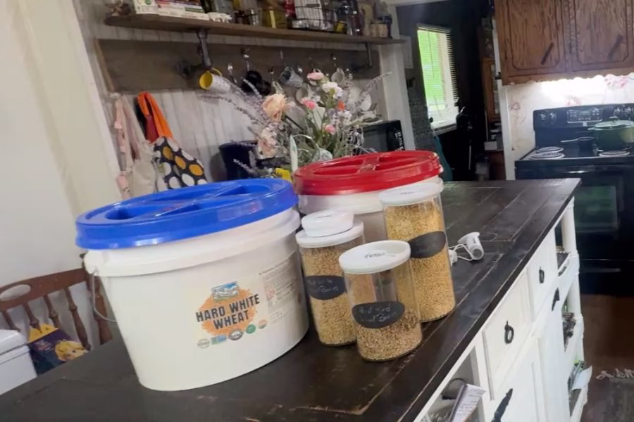 Fresh milled flour storage setup with wheat berries in buckets with gamma seal lids and glass jars on kitchen counter