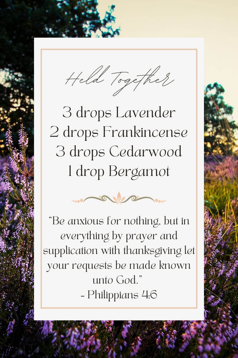 Held Together calming essential oil blend with lavender, frankincense, cedarwood, and bergamot with Philippians 4:6 for overwhelm and rest