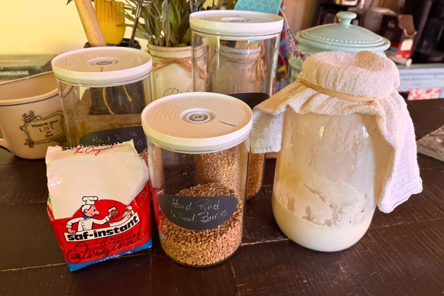 Yeast, hard red wheat berries, and a sourdough starter on a kitchen table during a fresh milled flour baking journey